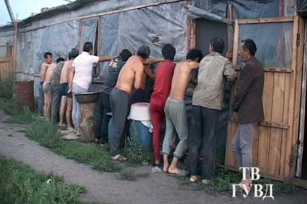 В Сысертском районе возле поля с коноплей задержаны восемь нелегальных мигрантов из Китая - Фото 1