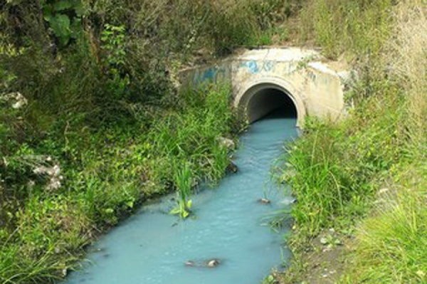 Нижнеисетский пруд может стать «голубым» - Фото 1