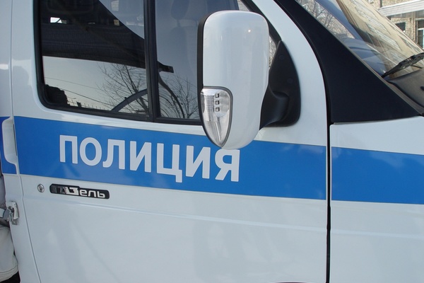 Вблизи поселка Решеты обнаружен изуродованный труп женщины - Фото 1