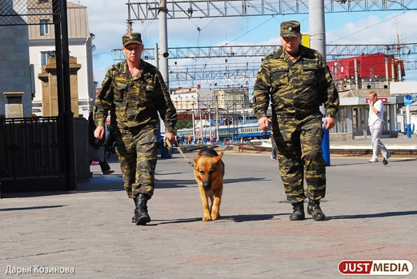 «Мочалка служить не будет»: призывникам разрешат взять с собой в армию только умную собаку  - Фото 1
