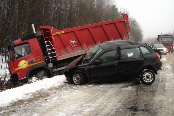 В ДТП под Нижними Сергами погиб водитель легковушки - Фото 1