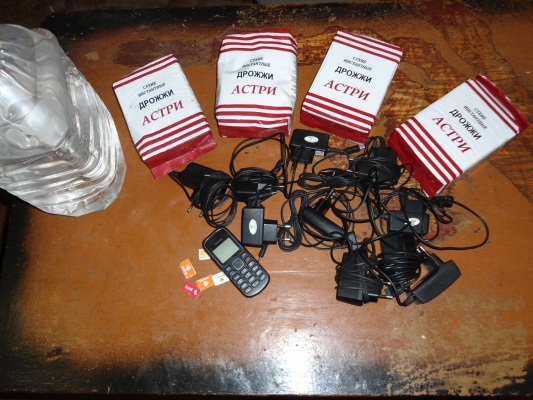 В Сосьвинскую колонию строгого режима перекинули канистру спирта - Фото 1