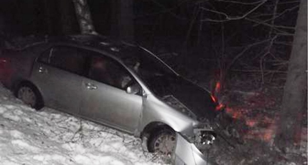 В Краснотурьинск водитель иномарки врезался в дерево. Пострадала женщина-пассажир и ее дочь - Фото 1