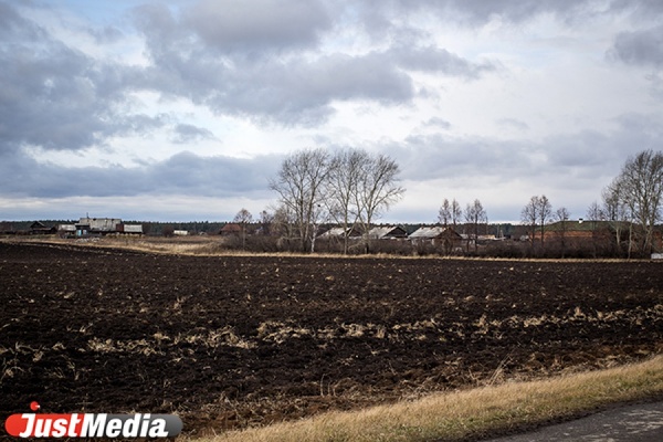 Эффективная работа земельного комитета пополнила городскую казну на 5,1 миллиарда рублей - Фото 1