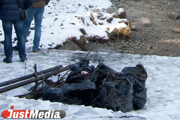 Управляющую компанию оштрафовали за свалку отходов у контейнерной площадки - Фото 1