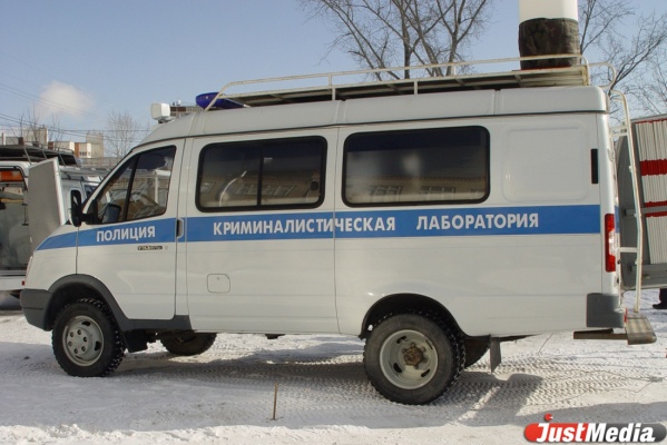 Полицейские и сотрудники ФСБ задержали лжетеррориста в поселке Ис - Фото 1