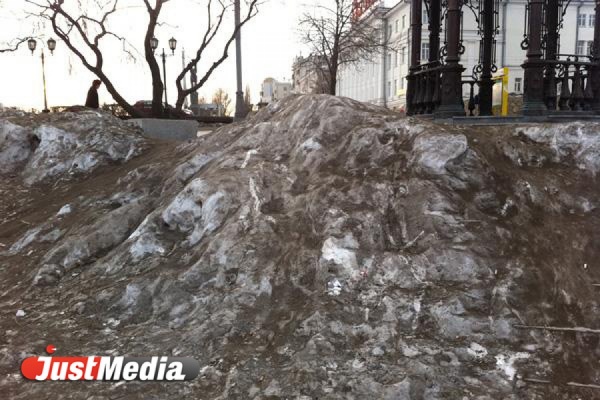 Профессор Сергей Залесов: «Нужно открыть экологические приемные во всех муниципалитетах региона» - Фото 1