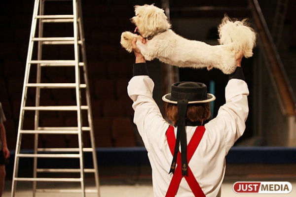 «Это просто балаган какой-то!» — новость о замерзающих в ХМАО животных повергла в шок сотрудников екатеринбургского цирка - Фото 1