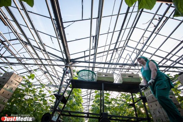 В Садовом полностью завершилось строительство «Тепличного» - Фото 1
