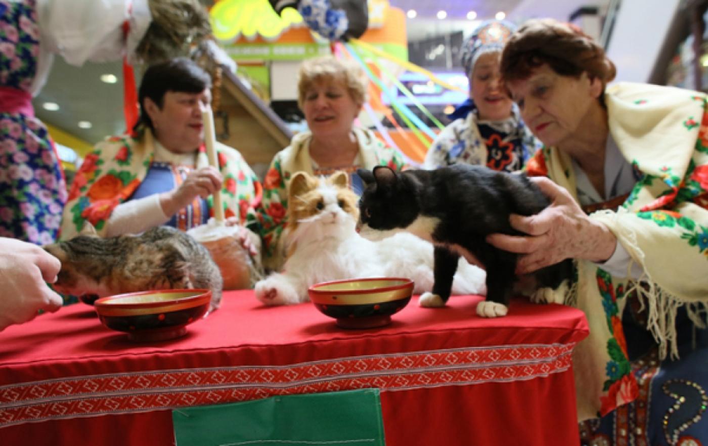 В Екатеринбурге открылась интерактивная деревня «Все коту Масленица»  - Фото 1