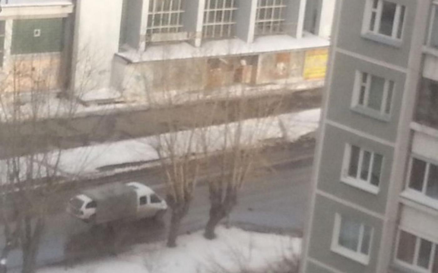 В Екатеринбурге грузовая «Газель» «родила» легковушку - Фото 1