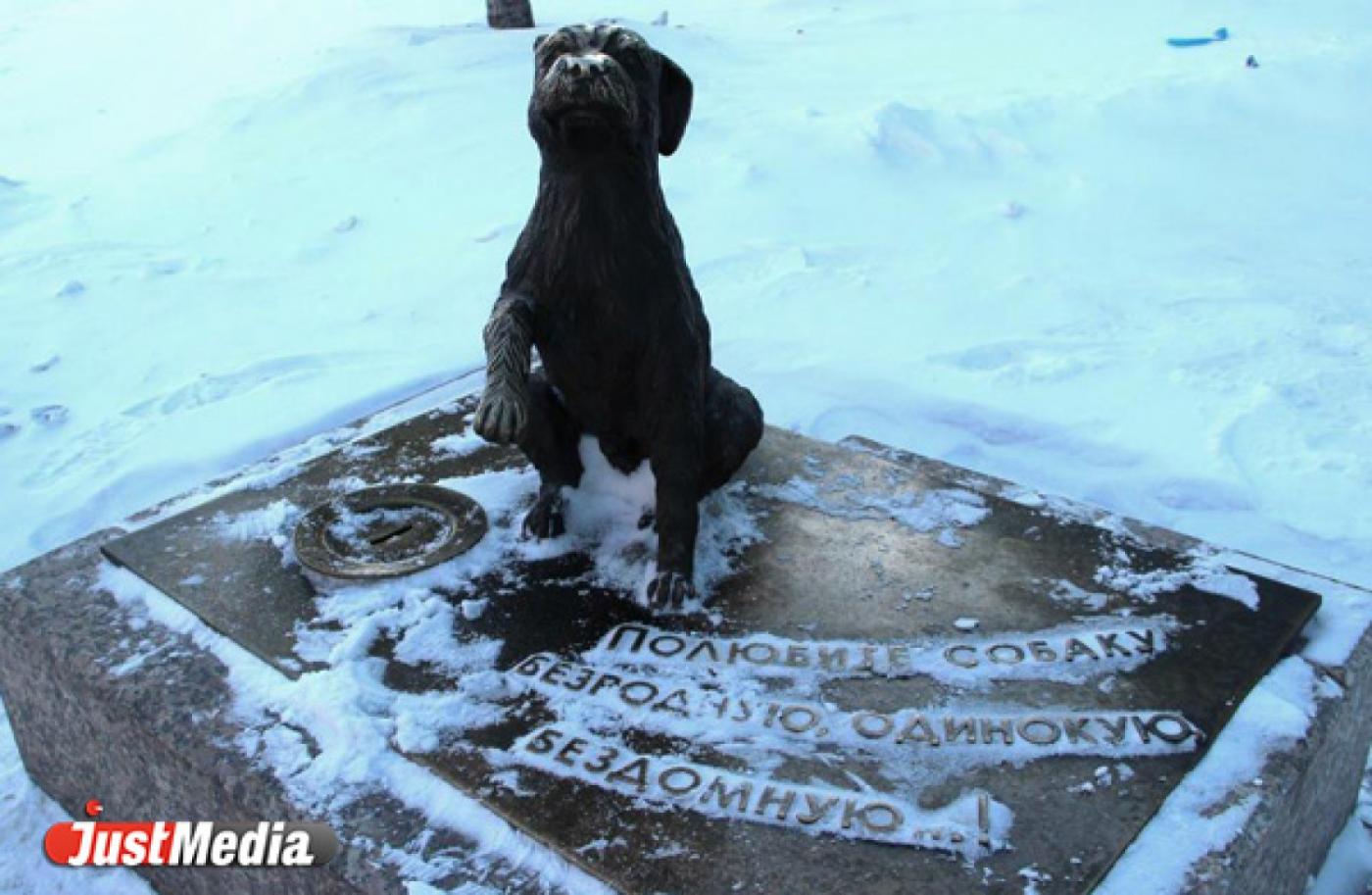 В Екатеринбурге появится памятник-копилка бездомным животным - Фото 1