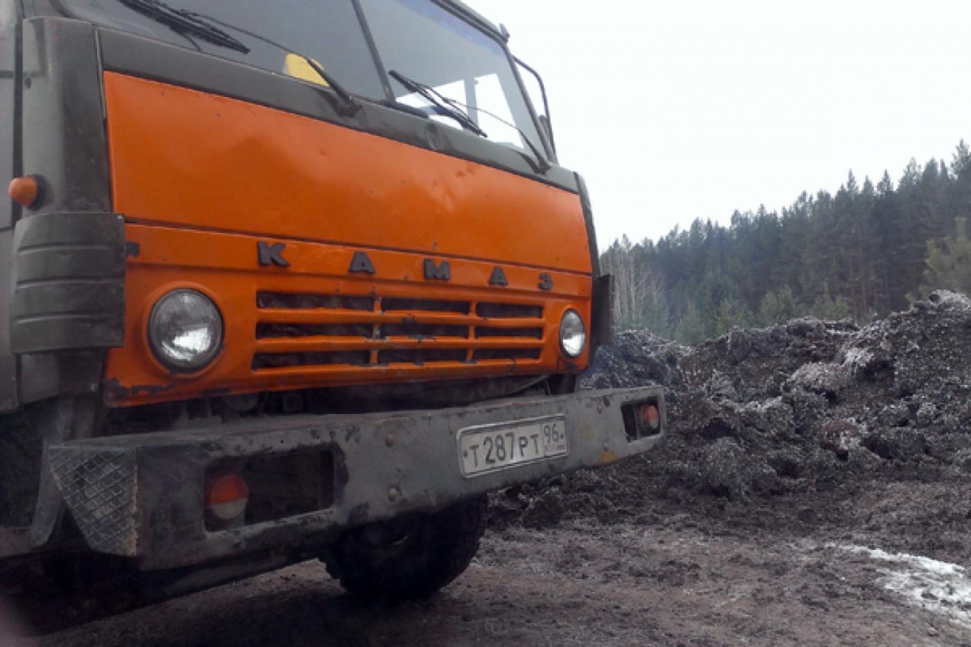 Под Нижним Тагилом пресечена незаконная добыча торфа - Фото 1