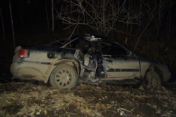 ГИБДД разыскивает очевидцев ДТП вблизи Медного: водитель «Ауди» въехал в столб, скрутил номера и сбежал - Фото 1