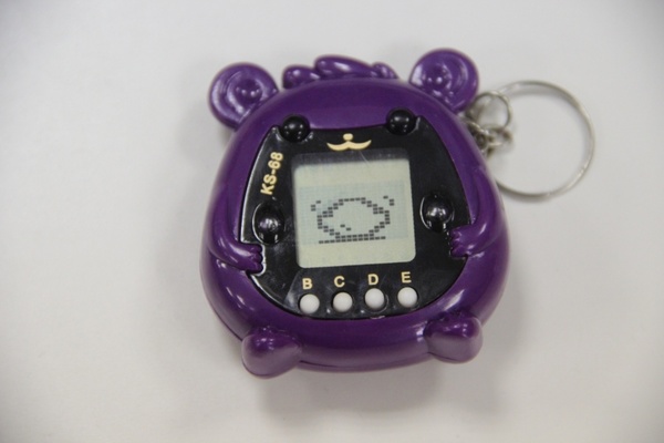 Яйцо из которого появился птенец