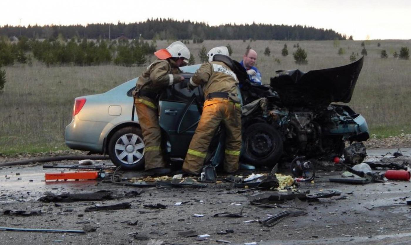 В праздники из-за пьяных водителей и лося на свердловских дорогах погибли пять человек - Фото 1