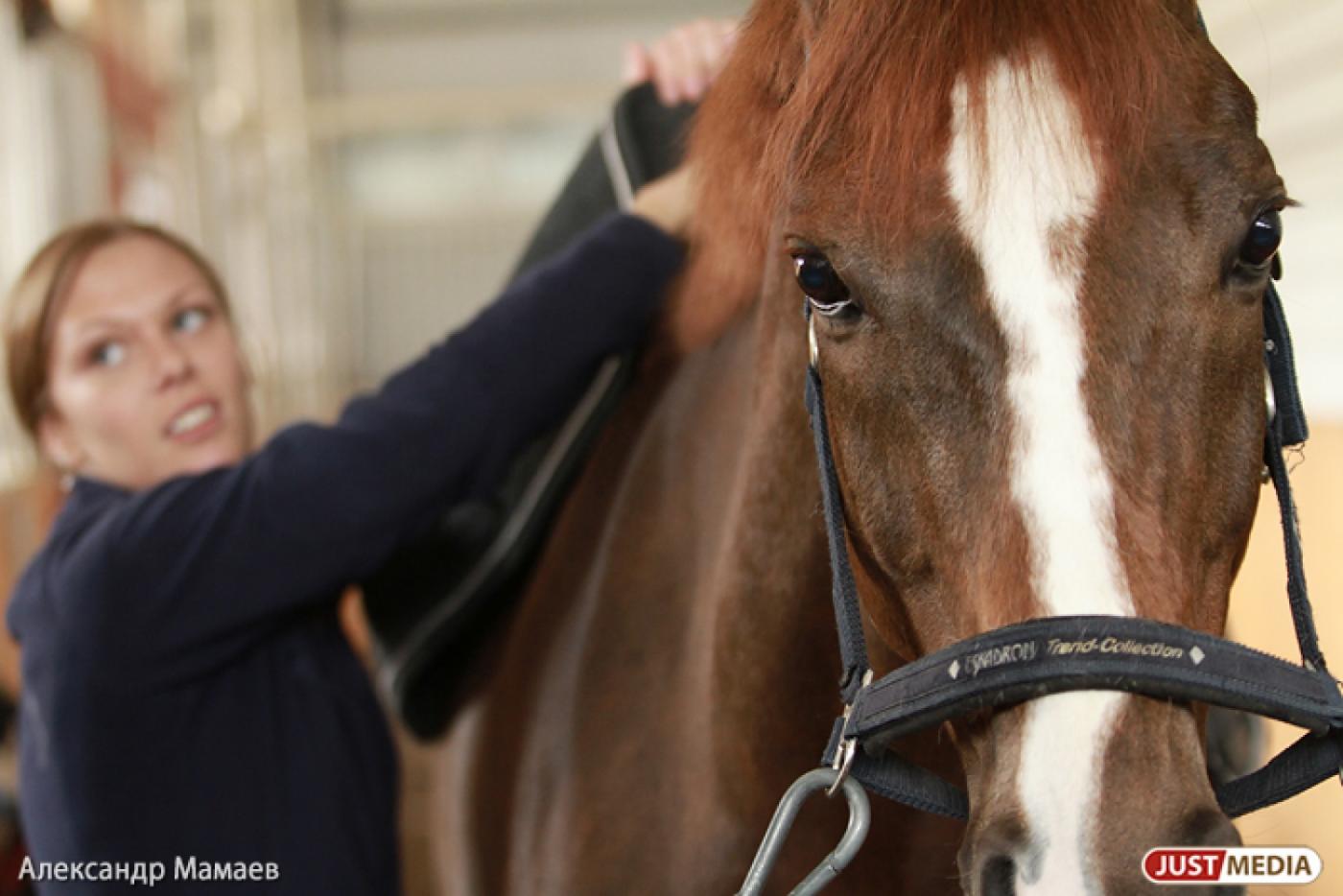 На Уралмаше завтра пройдет средневековый показ мод и рыцарские турниры - Фото 1