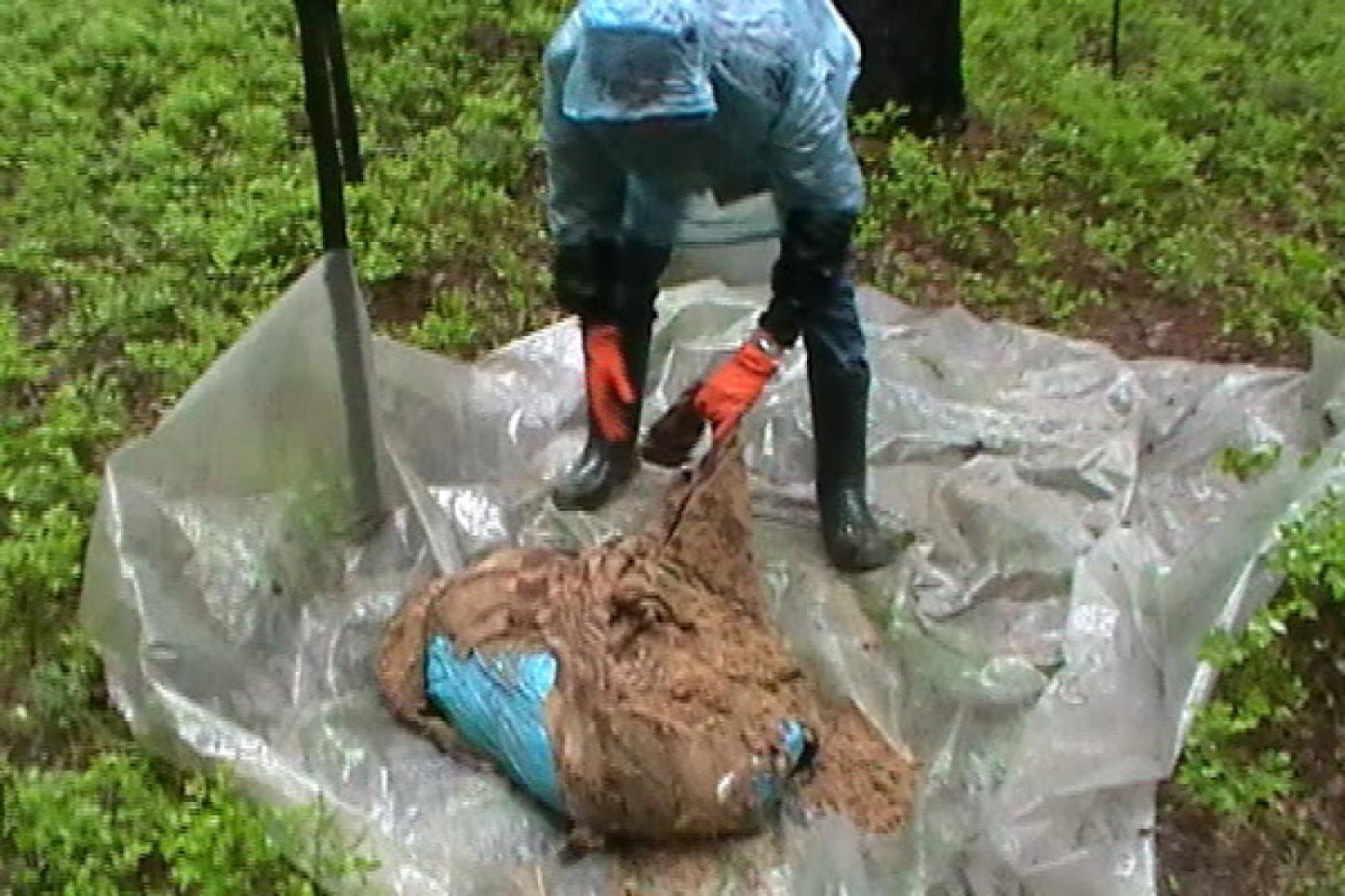 Уголовное дело «банды Федоровича» передано в суд - Фото 1