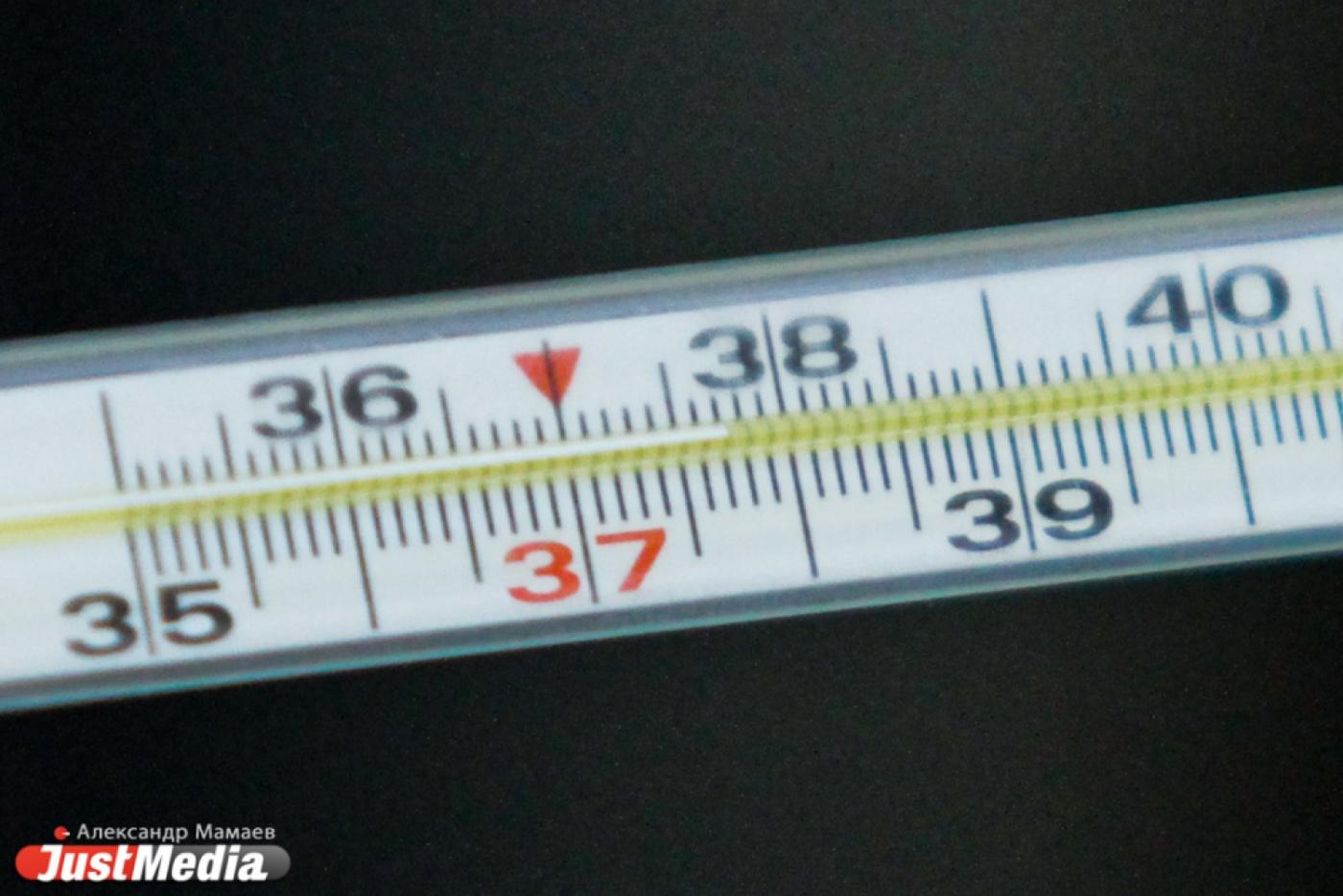 Аптечная сеть «36,6» сворачивает сеть в Свердловской области - Фото 1