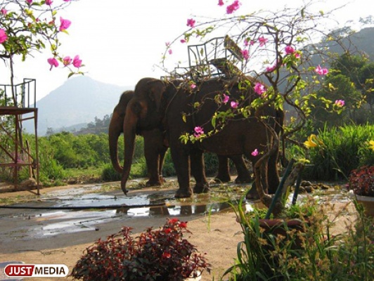 Самые опасные страны для летнего отдыха – Таиланд, Кипр и Италия - Фото 1