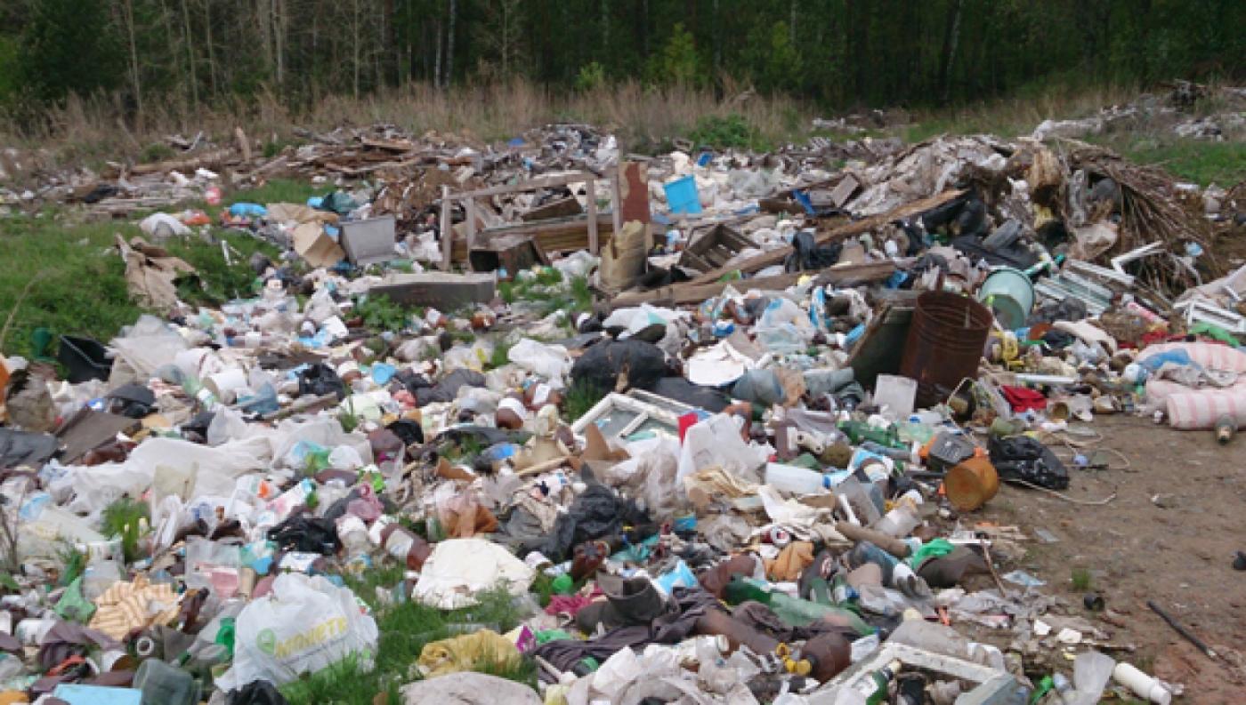 Сотрудники минпроды борются с огромной свалкой в Сысерти. Глава муниципалитета не торопится ее ликвидировать - Фото 1