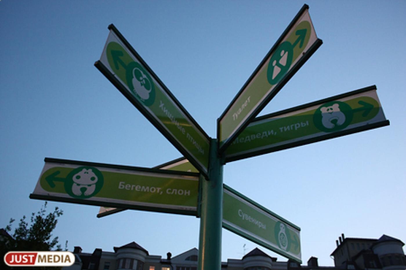 Родившиеся в Екатеринбургском зоопарке самки тигрят могут стать звездами цирка - Фото 1