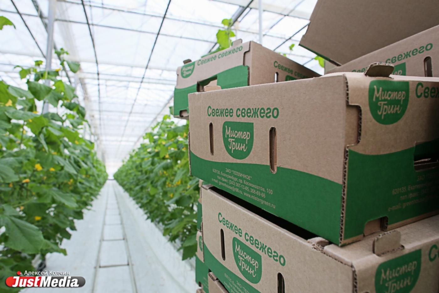 «УГМК-Агро» будет выпускать сыры и увеличит производство овощей - Фото 1