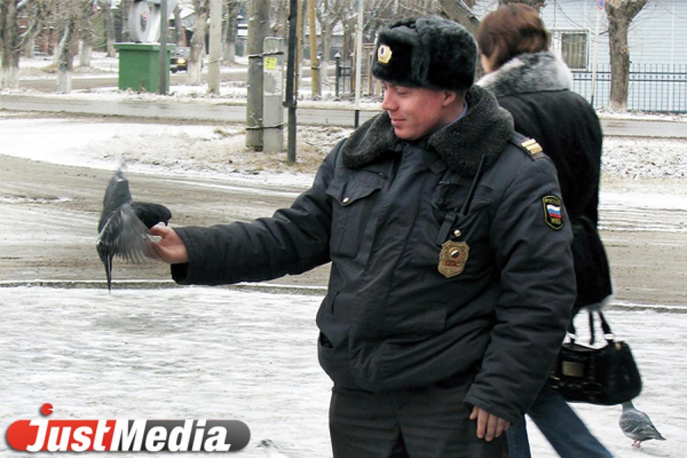 Компьютерная игра и радиосказка о героях-полицейских: МВД России определило номинантов конкурса «Щит и перо»-2014 - Фото 1