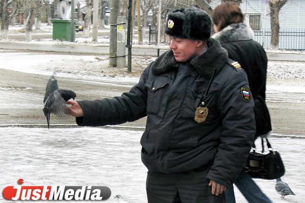 Компьютерная игра и радиосказка о героях-полицейских: МВД России определило номинантов конкурса «Щит и перо»-2014 - Фото 1