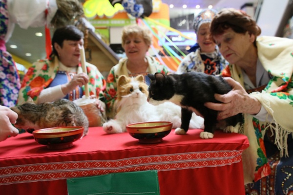 В Екатеринбурге открылась интерактивная деревня «Все коту Масленица»  - Фото 1