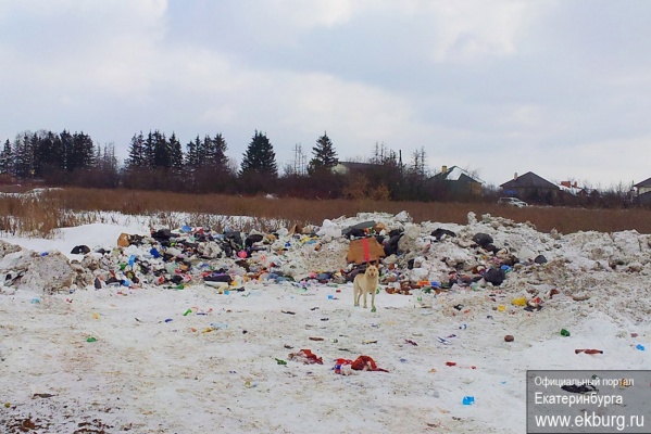 Экологи обнаружили еще одну свалку в Истокском - Фото 1