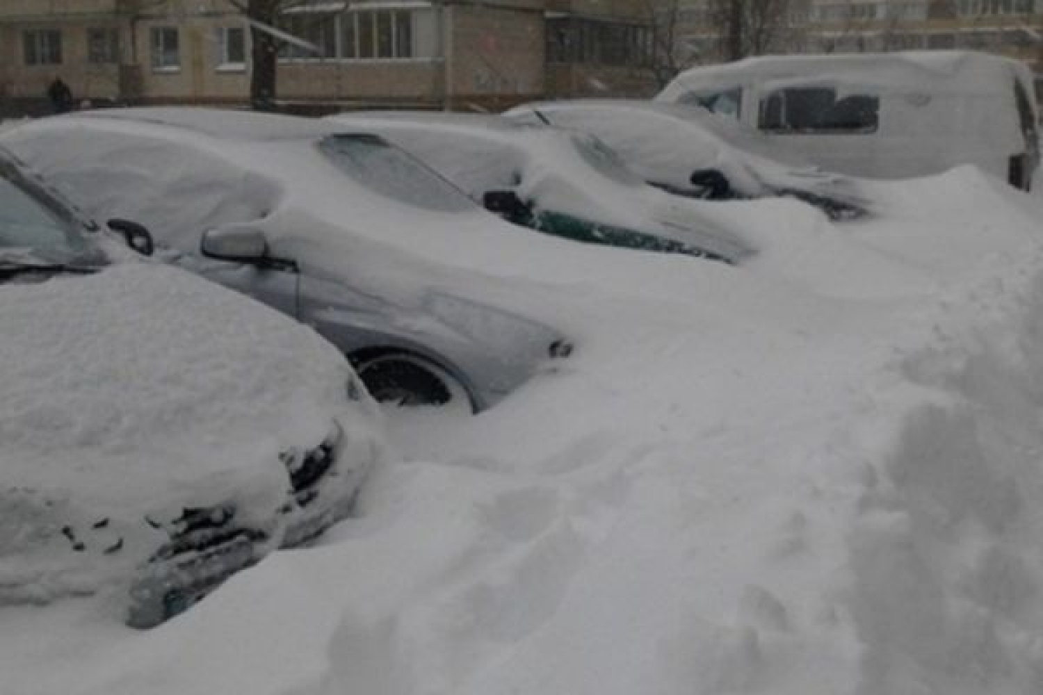 Снег 100 см. Москву занесло снегом. 100 См снега. 70 См снега по стандарту. 4 См снега.