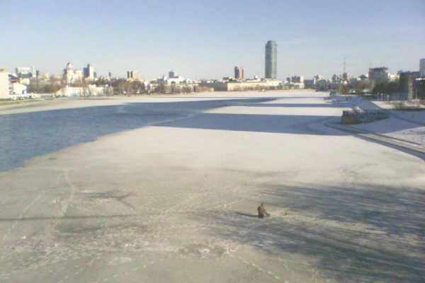 Екатеринбургские рыбаки-экстремалы сидят на городском пруду, несмотря на сход льда - Фото 1