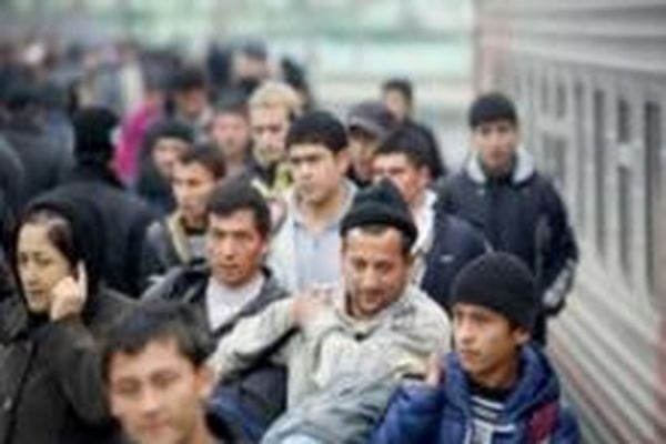 В ФМС утверждают, что поток мигрантов из СНГ в РФ сократился на 20% - Фото 1
