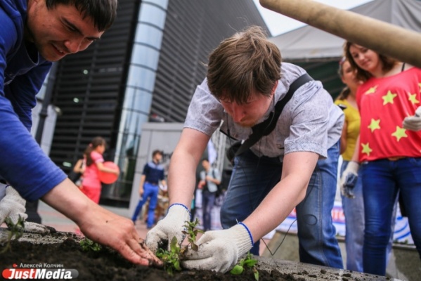 Жители Екатеринбурга высадили цветы на улице Вайнера - Фото 1