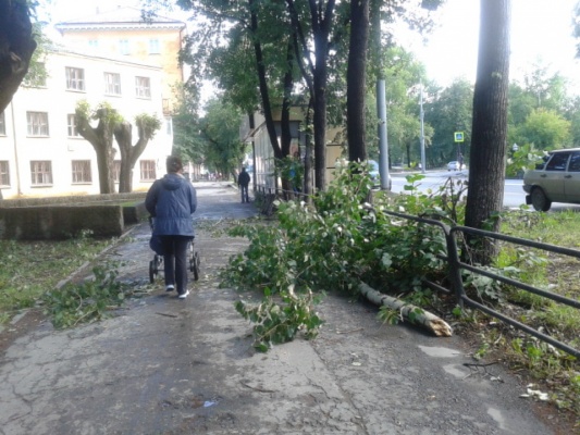 Прогулки с препятствиями! С тротуаров Уралмаша до сих пор не убрали поваленные деревья - Фото 1