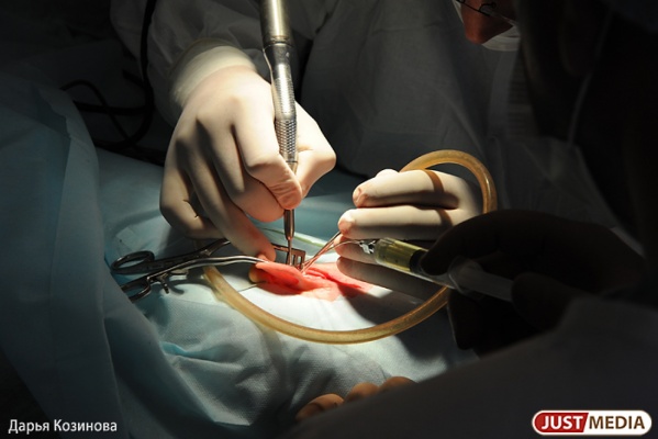 Уральские медики бьют тревогу: запрет на иностранную медтехнику станет приговором «сложным» больным - Фото 1