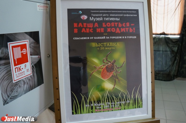 На Среднем Урале зафиксирован третий за сезон случай гибели от укуса клеща - Фото 1