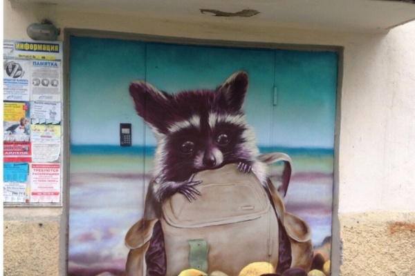 Жильцы дома на Попова пригрели «уличного» енота - Фото 1