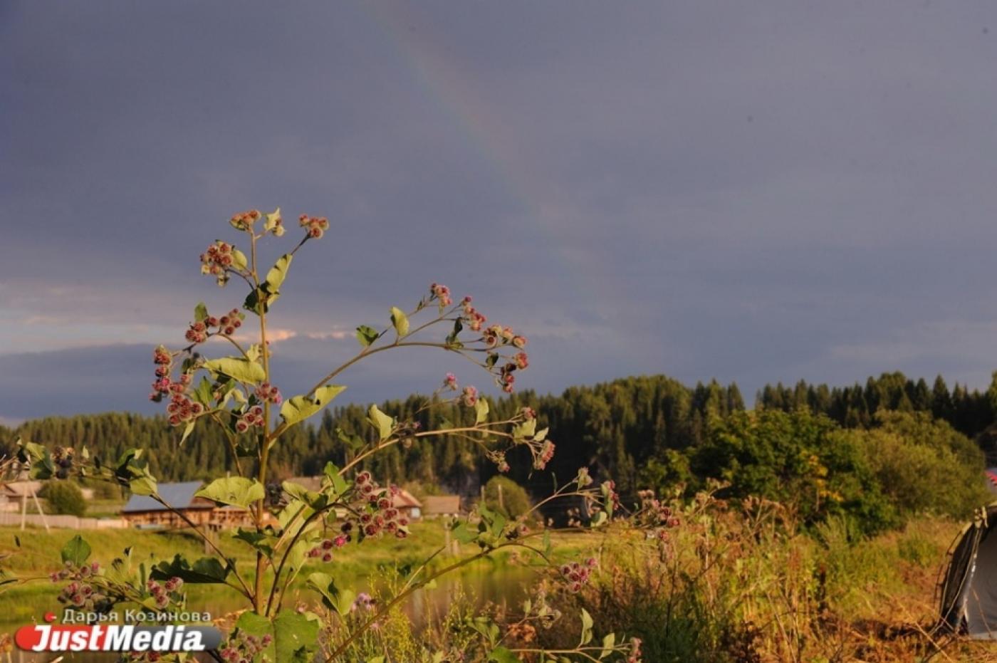 Свердловские бюджетники получили первые 500 земельных участков от области - Фото 1