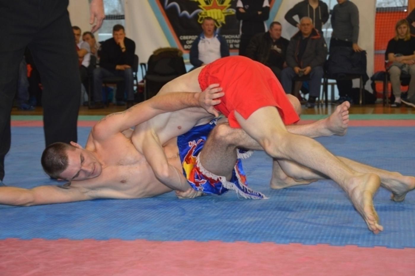 Яркие поединки ожидают зрителей Всероссийского турнира по комплексным единоборствам - Фото 1