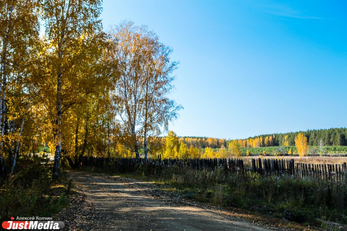 Дмитрий Сергин: «Земельные участки для льготников, которые выделило МУГИСО, могла подготовить мэрия» - Фото 1