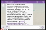 Мавроди пугает екатеринбуржцев кризисом и заманивает в «глобальную кассу взаимопомощи»