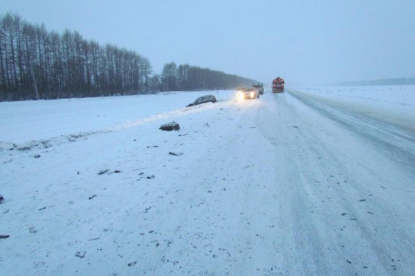 Талицкая госавтоинспекция ищет очевидцев смертельного ДТП на трассе «Екатеринбург-Тюмень» - Фото 1