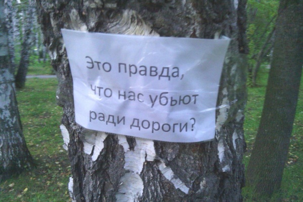 В Екатеринбурге деревья взбунтовались против строительства дороги к ЧМ-2018 - Фото 1