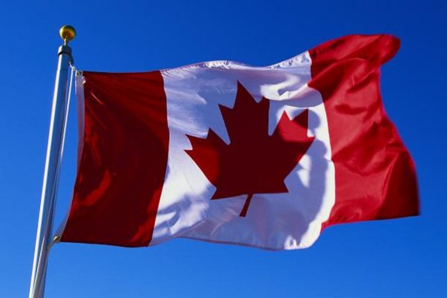 Канада международные организации. Флаг Канада. Правительство Канады. Политика Канады. Канада санкции.