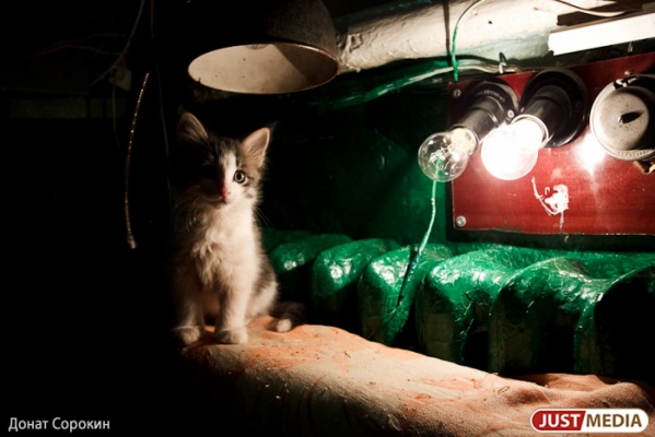 В Екатеринбурге стартовал третий этап пуска тепла. Военные как всегда запаздывают - Фото 1