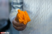 Екатеринбургские изобретатели создают 3D-принтеры, печатающие ювелирные изделия и портреты на шоколаде