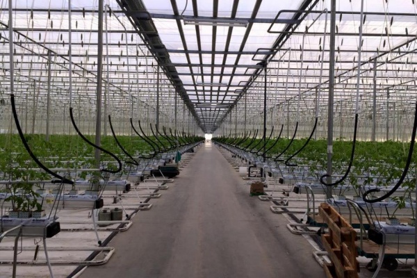 На Урале подготовились к весеннему урожаю - Фото 1