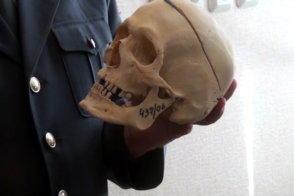 Будущим юристам рассказали, как восстановить облик человека по черепу - Фото 1